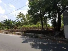 Tanah Siap Bangun Desa Made Citraland Surabaya Barat