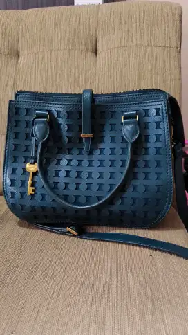 Tas Fossil Asli
