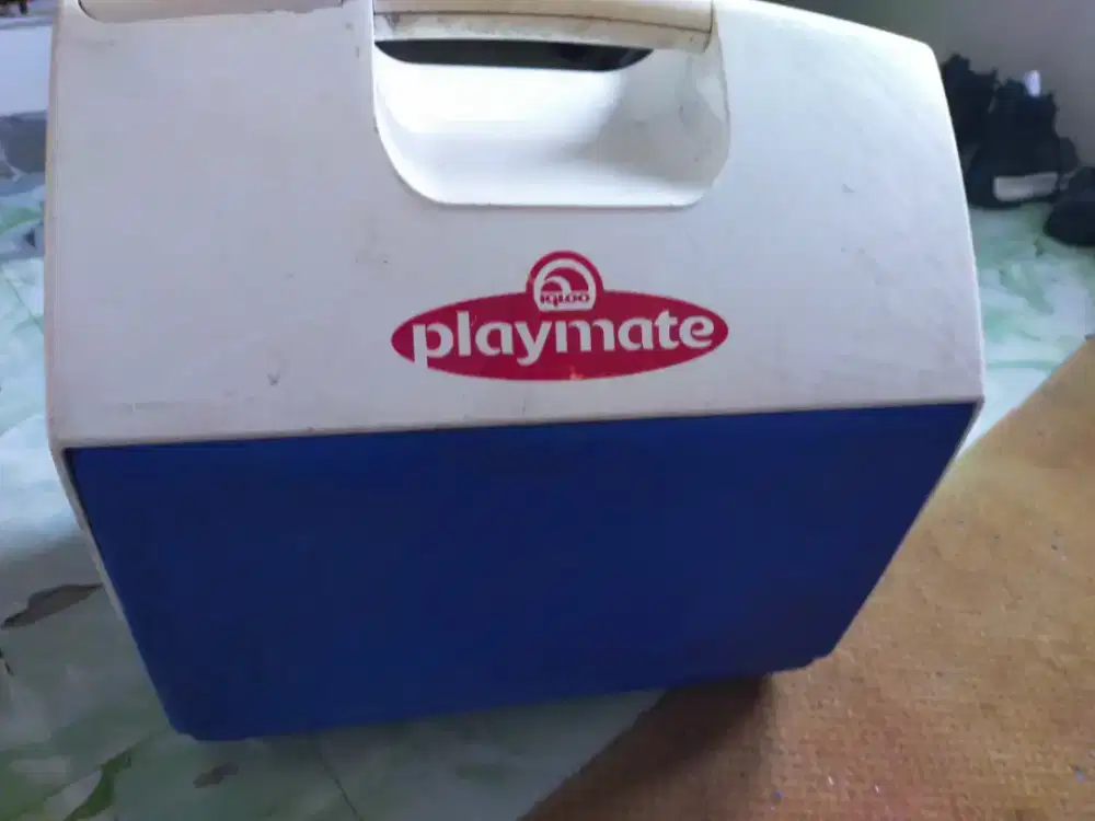 Cool box playmate