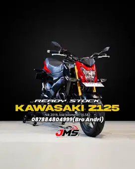 KAWASAKI Z250 NIK 2018