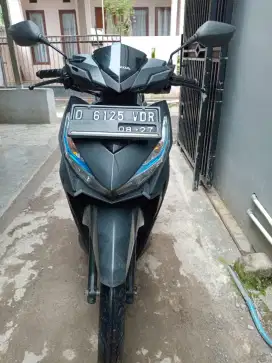 Vario 2017 orsinil