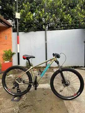 DOMINATE A ONE COMP 10 SPEED SHIMANO DEORE HIDROLIK TA