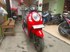 PJK ON 10/25 HONDA SCOOPY SPORTY 2024 HRG PAS DI CILEDUG BISA TT 2023