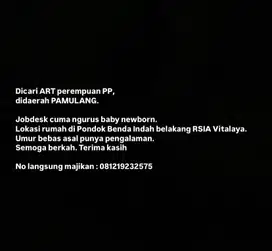 Dicari art PP dipamulang