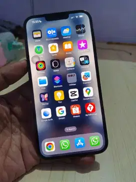 Dijual Cepat Iphone 13 Pro Max 256Gb