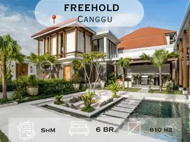 Tropical Contemporary Villa di Canggu, Lokasi Strategis & Premium