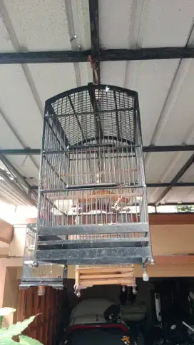 Kandang ebod kacer