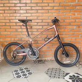 Sepeda Minivelo Polygon Zeta 2 groupset tiagra