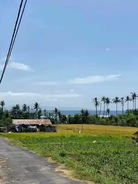 Tanah Ketewel Gianyar Bali