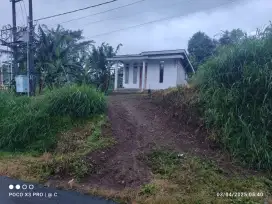 Rumah dan tanah di tutur desa sumberpitu