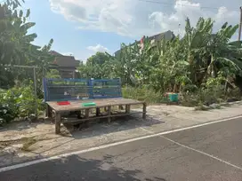 Tanah Pekarangan di Sumber Banjarsari Surakarta Solo SHM 613m²
