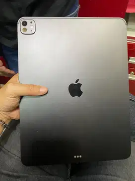 Ipad pro m4 13 inch ex inter garansi juli 2025 bh 100 mulus perfect