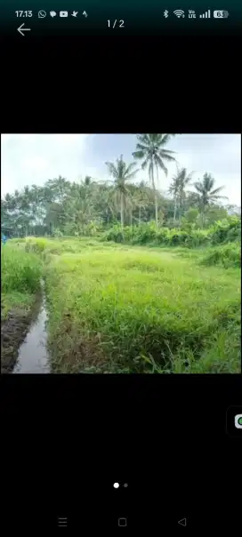 DIJUAL TANAH SAWAH DEKAT UNIVERSITAS TIDAR