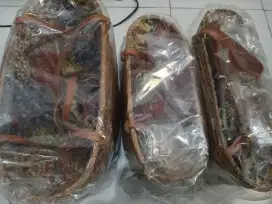 Tas rajutan bambu