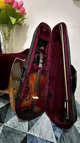 4/4 Size Biola /Violin Alfred Stingl by Hofner
