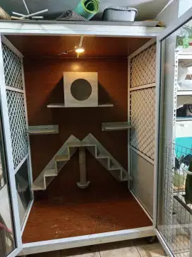 Kandang kucing, cat room, , cat condo
