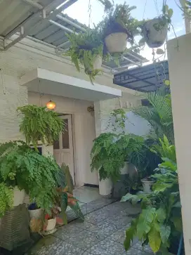 Disewakan Rumah di Navilla Graha, Pandaan