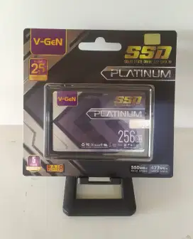 SSD 256gb Vgen Platinum