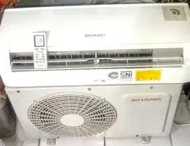 Ac Sharp 1/2 pk mulus