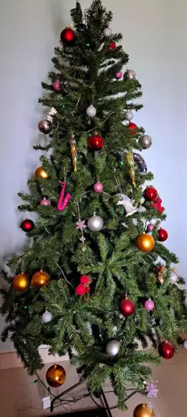 Jual pohon natal