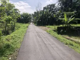 Jakal Km 10, Peruntukan Rumah Premium, Suasana Asri