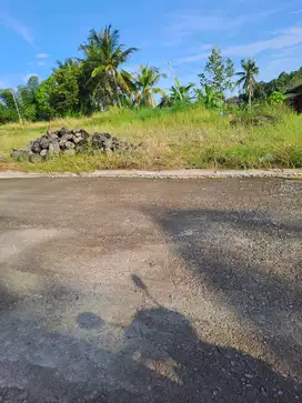 Di Sewakan Tanah 150 M2 dekat dengan ubud dan babi guling krasan