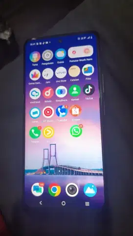 Vivo y 28 mulus
