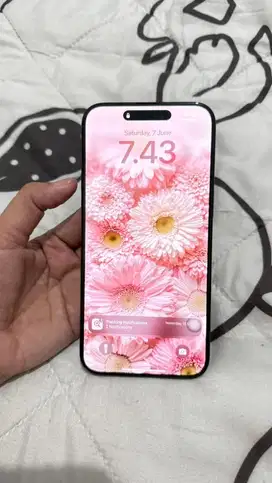 Iphone 15 Promax 256 gb