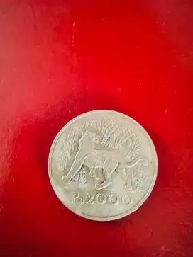 Koin 2000 macan