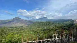 Tanah Di jual kintamani Bangli