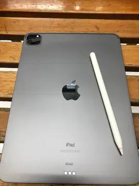 iPad Pro 11inch (2nd Gen)