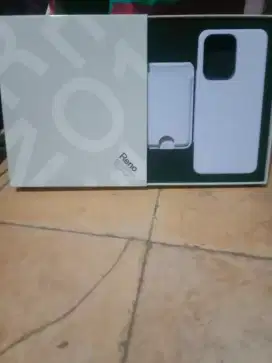 Case orian Oppo Reno 13F