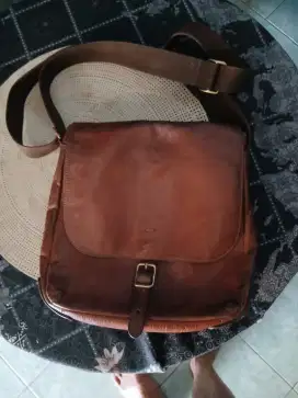 Tas fossil original