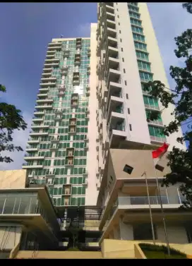 Disewa Apartemen Tree Park BSD 1 Bed Room