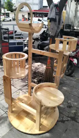 Kandang kucing jati belanda