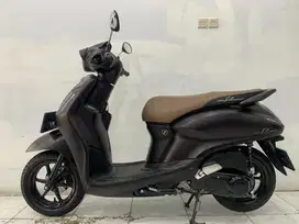 Grand filano lux 2024