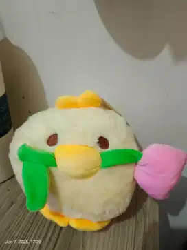 Boneka baru koleksi 2025