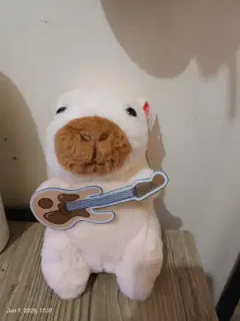 Boneka capybara baru koleksi 2025