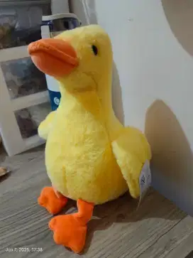 Boneka bebek koleksi 2025