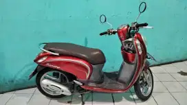 Honda Scoopy 2016