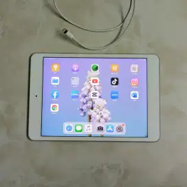 iPad Mini 2 Retina no minus