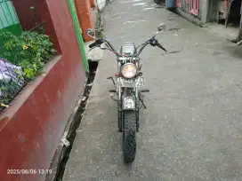 Tiger custom British