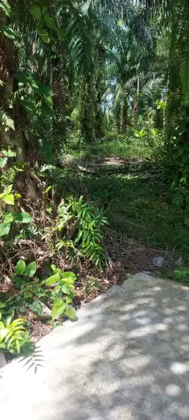 DIJUAL CEPAT TANAH