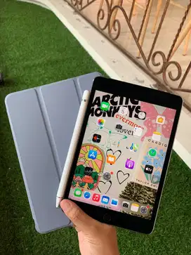 Ipad mini 4/128 ex ibox wifi+simcard