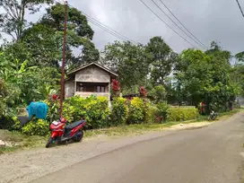 KEBUN DURIAN, ALPUKAT - KOLAM IKAN DAN SAUNG VILA. AIR BESAR ADA SUNGA