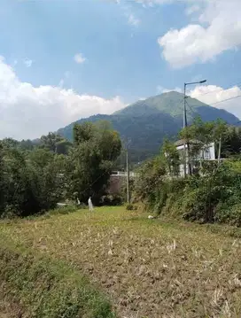 DI JUAL  TANAH PACET NON PERTANIAN PLOT PERUMAHAN DEKAT KOLAM RENANG