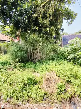 Dijual tanah murah strategis pinggir jalan desa