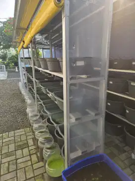 Aquarium plus seperangkatnya