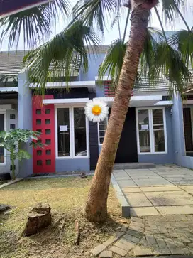 Rumah Rapi Siap Huni di Cibubur Country