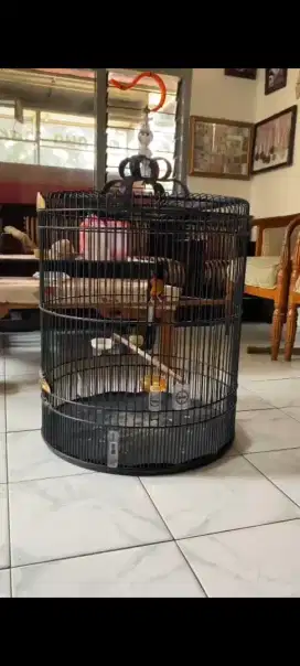 Murai prestasi dijual fullset